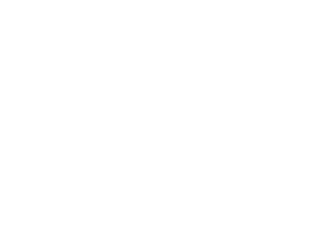 Einfädler Bernina Shop