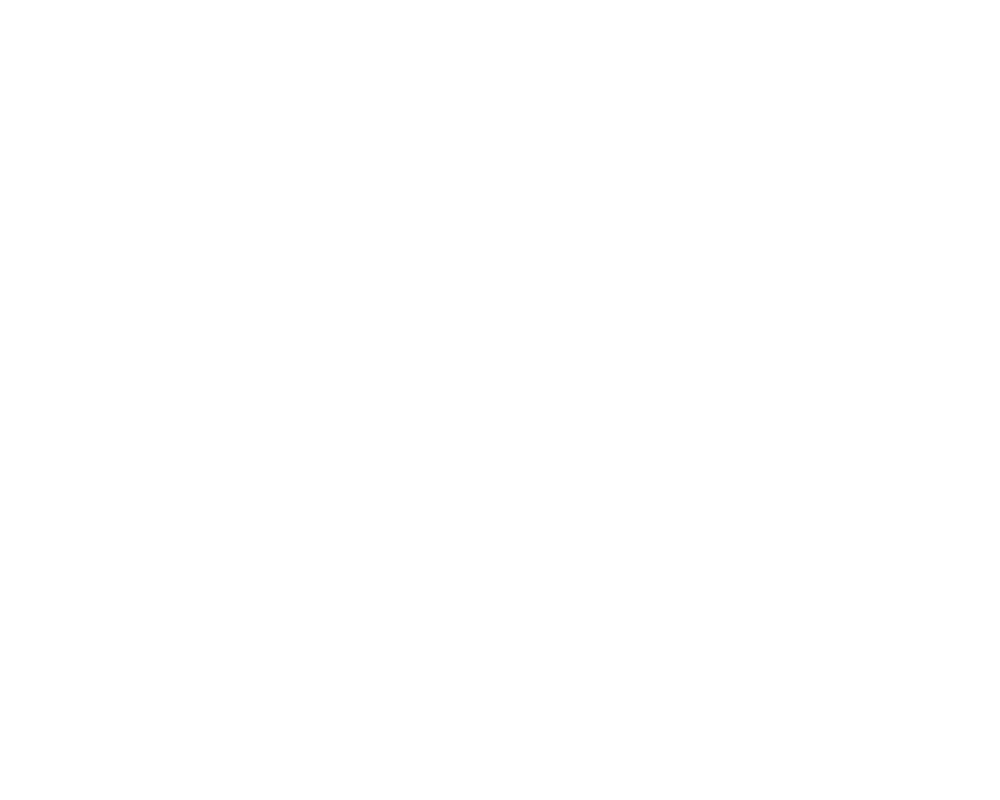 Elsa 