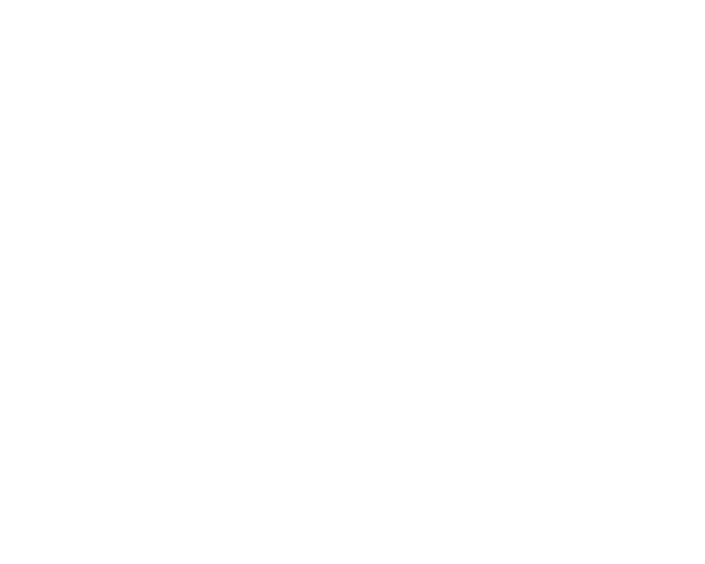 Tradidog