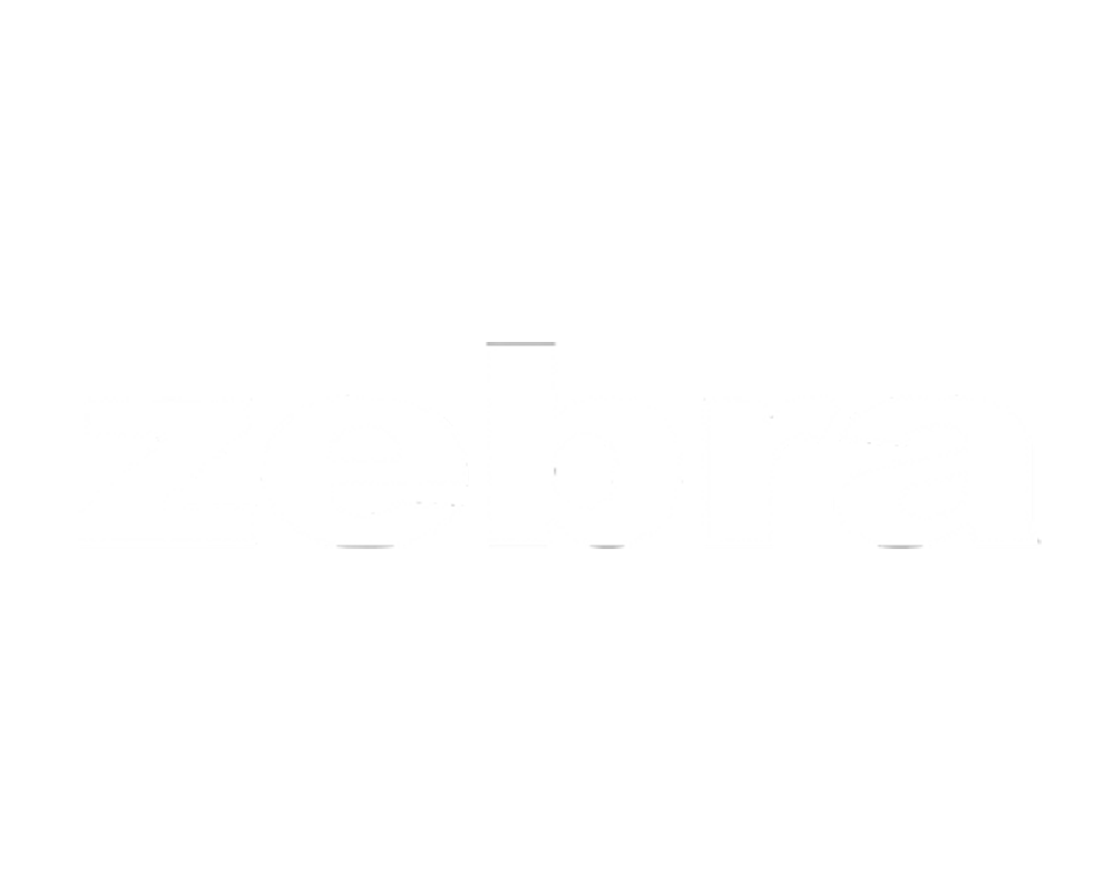 Zebra Fashion