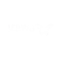Stewo
